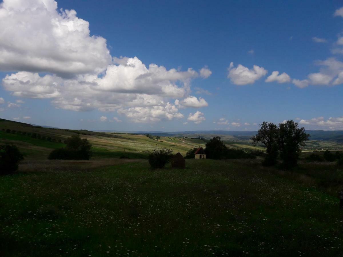 Casa Delureni ภายนอก รูปภาพ
